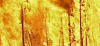 Element Feuer